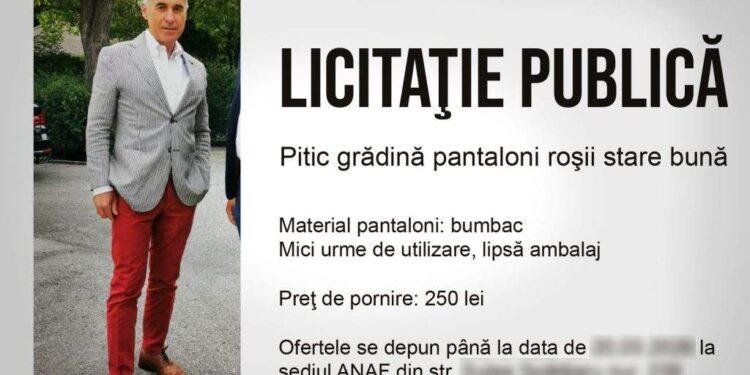 Începe recuperarea datoriilor. ANAF scoate la licitaţie un pitic de grădină confiscat de la Realitatea Plus