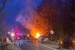 Patru morți într-un accident în Neamț: o mașină a luat foc la impactul cu un alt autoturism. Un bebeluș, printre victime
