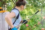 Cea mai bună pompă de stropit electrică 2026: cum alegi corect + Top 5 modele și Bonus – evită greșelile costisitoare