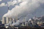 Un român acuză că e mușcat zilnic de căpușele de la CEC, Hidroelectrica și Transgaz
