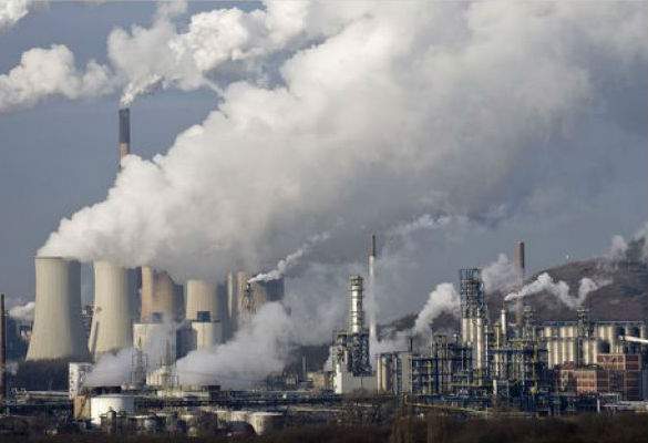 Un român acuză că e mușcat zilnic de căpușele de la CEC, Hidroelectrica și Transgaz