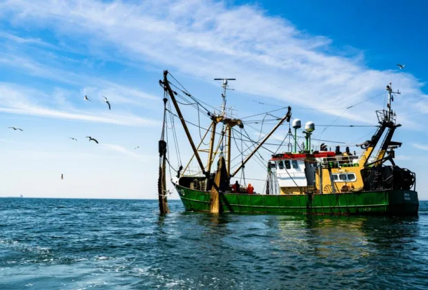 Barcă de pescuit turcească, atacată în Marea Neagră